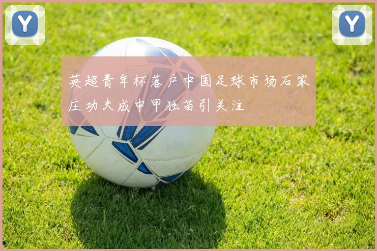 英超青年杯落户中国足球市场石家庄功夫成中甲独苗引关注