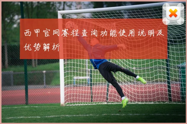 西甲官网赛程查询功能使用说明及优势解析