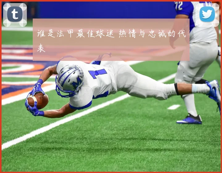 谁是法甲最佳球迷 热情与忠诚的代表